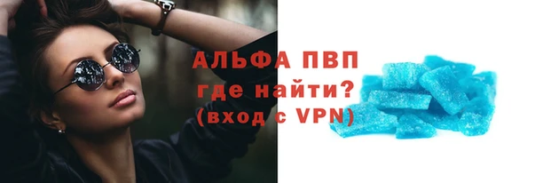PSILOCYBIN Горняк