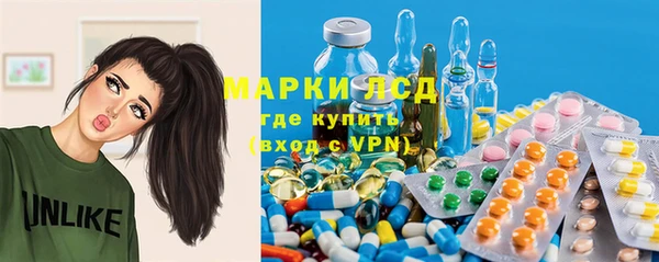 PSILOCYBIN Горняк