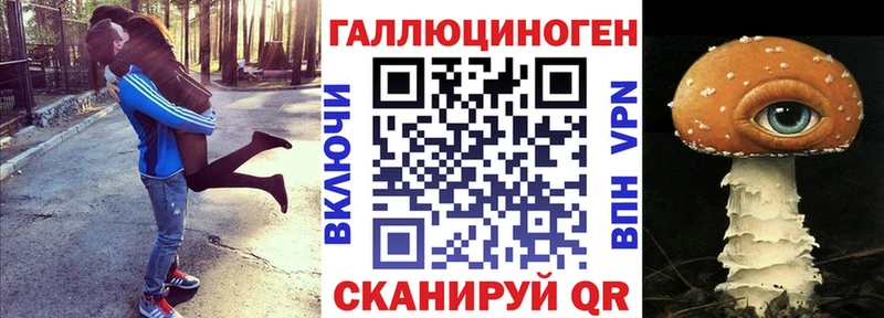 Купить где  Карасук  Псилоцибиновые грибы Cubensis 